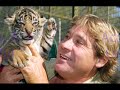 Steve Irwin R.I.P Steve Irwin R.I.P