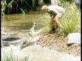 Steve-Irwin-R-I-P