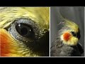 Resize images with reshade Resize images with reshade
