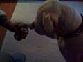 videos de Koff Testi