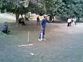 cricket
