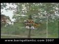 Honey Bee King II 2 CCPM RTF RC Helicopter READY TO FLY