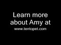 Amy Reeder Hadley Inking Demo