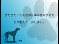 動物看護士のお仕事~入院管理~ 看護士