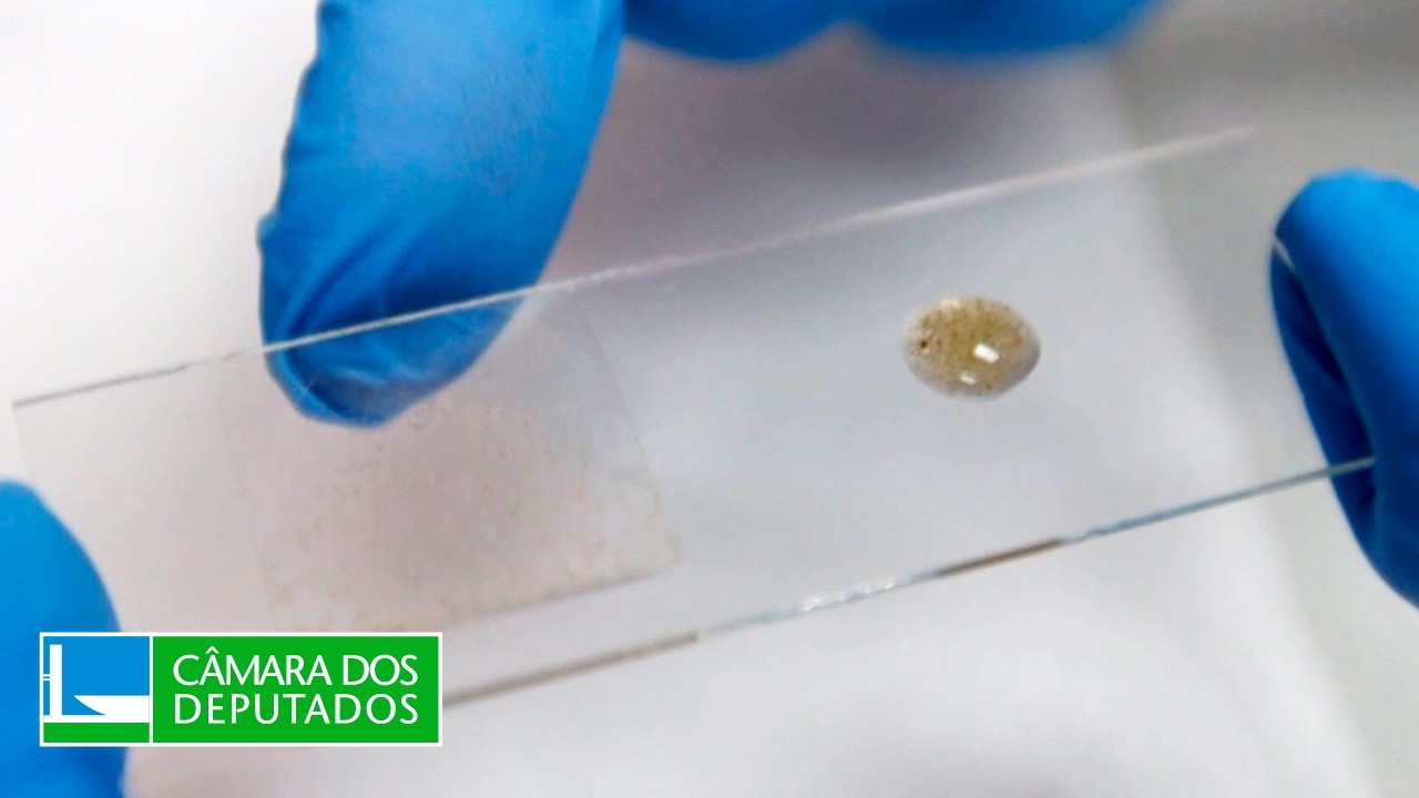 Proposta amplia conscientização sobre as doenças mitocondriais - 27/08/26