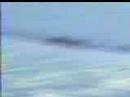Sport Fishing invite May 2001 Sport Fishing invite May 2001