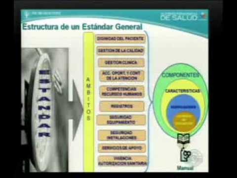 ENASA 2007 Dr. José Concha, Panel Calidad en Salud (02).flv
