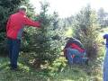 videos de Christmas Tree Farm in Norwell