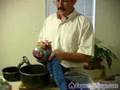Canning and preserving canning beets