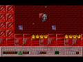 videos de hocus_000.avi