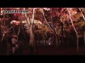 夜もみじ/曽木の滝