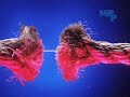 The War on Drugs in 100 Seconds