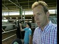 Koe van Teteringse veeboer valt in de prijzen