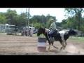 videos de Sonny Dee Summer:  Barrel Racing