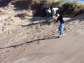 Sandboarding in Dänemark 2