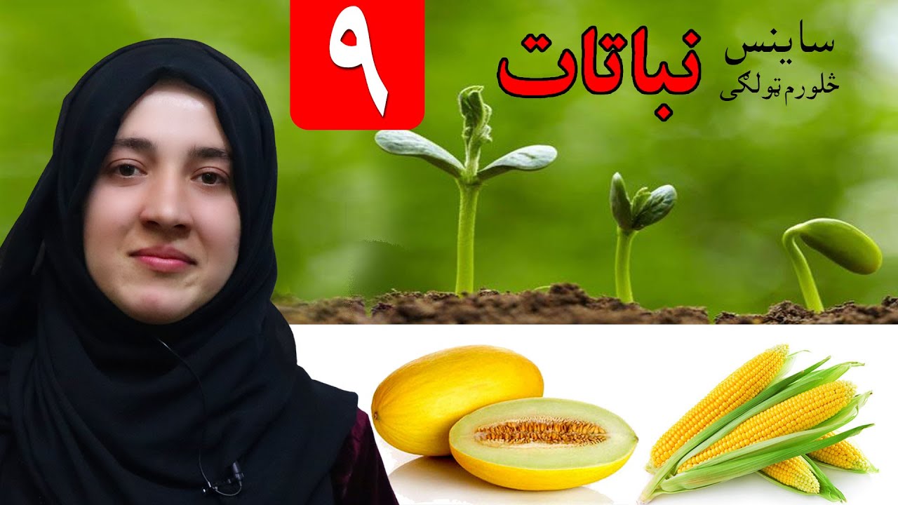 LESSON 9 _ Grade 4 SCIENCE / نهم لوست ـ د ساینس مضمون ـ څلورم ټولګی