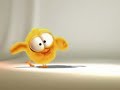 Crazy Bird Crazy Bird