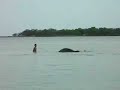 Baby Elephant takes a bath! Baby Elephant takes a bath!
