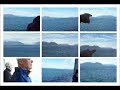 humpback whales2.mp4