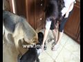 Zobacz Wideo
