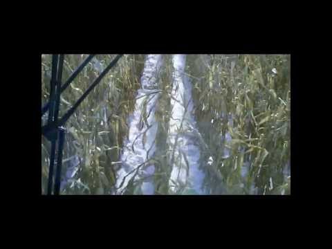 how to harvest snow