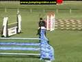 Poneys de CSO célèbres