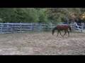 videos de VJ's Blues Glowing Ember at Play