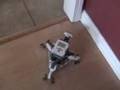 Lego Mindstorms NXT Holonomic Drive - Killough Platform