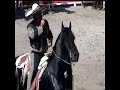 EL GRULLO TOROS