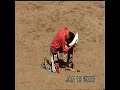 EL GRULLO TOROS