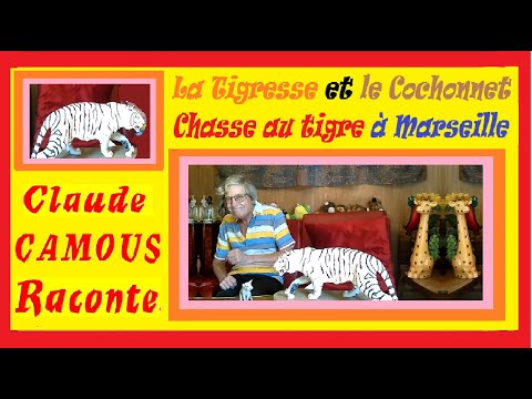 La Tigresse et le Cochonnet « Claude Camous Raconte » une chasse au tigre à Marseille en 1909