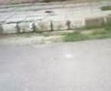 videos de punjabi bicycle stunt