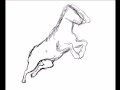 Cavalo desenho 1