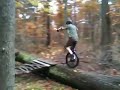 Muni tree challenge
