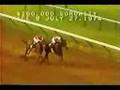 Ruffian's Rhapsody