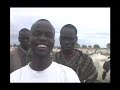 Dinka Cattle