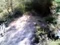Bunu dh santa justa