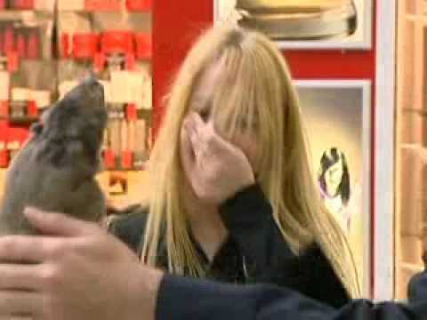 Just For Laughs Gags Furry Friends