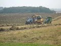 Silaging New Holland Silaging New Holland