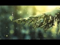 Bright Eyes Singularity Official Music Video and Lyrics