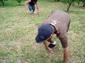 Para�ba Vs. Loketi