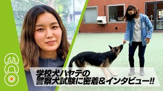 北海道エコ　Youtube Pickup!