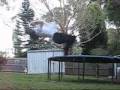 Backflip to Frontflip.