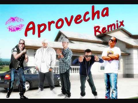 Nova Y Jory , Daddy yankee Ft.Franco El Gorila Y Yandel - Aprovecha (oficial Remix)