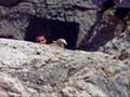 BOULDER DIQUE DEL OESTE - XAVI EN ACCION