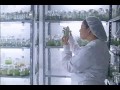 El Programa de Microbiología Industrial- UDES es una alternativa profesional acorde a las tendencias económicas mundiales.
Como Microbiólogo Industrial te puedes desempeñar en los sectores agropecuario, industrial, ambiental, alimentos, farmacéutico en las áreas de gestión de la calidad, producción, investigación y diagnóstico microbiológico.
Los microorganismos son utilizados como alternativas de desarrollo sostenible en todos los sectores productivos.