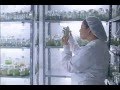 Microbiologia Industrial
