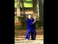 Tai-Chi (Dedicated to F.J)