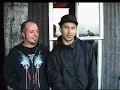 Backstage with Despised Icon...
