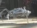 BEAM 2-motor walker \"Coby\"
